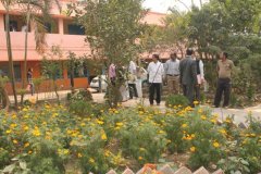 Herbal-garden-5