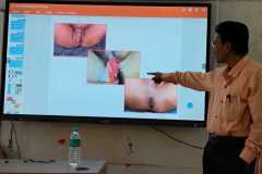 TRANSITIONAL-CURRICULUM-PROGRAM-Batch-2024-20254