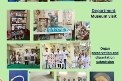 WhatsApp-Image-2026-04-17-at-4.06.14-PM-1